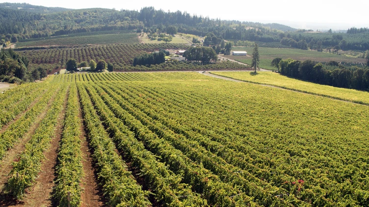 Pacific Northwest Wine Trail USA Tour - 3